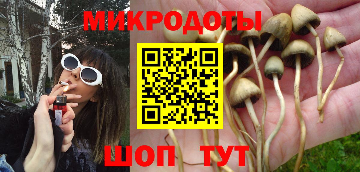 Галлюциногенные грибы Magic Shrooms  Вход с VPN  магазин    Курганинск 